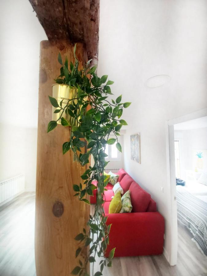 Apartment El Rincon Del Marques Centro Con Encanto By