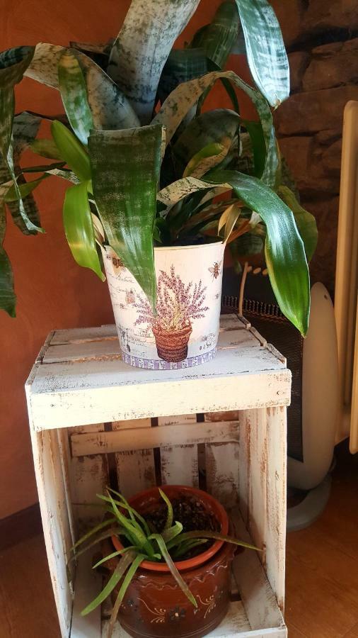 El Rincon Del Marques Centro Con Encanto By Apartment